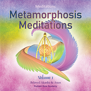 Metamorphosis Meditations