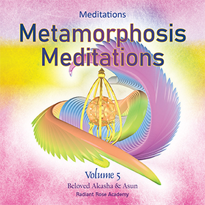 Metmorphosis_Meditations Vol5