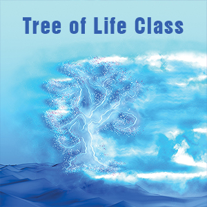 2021 Tree of Life Class