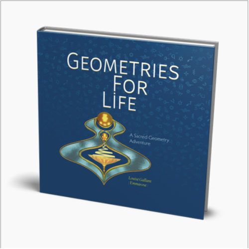 Geometry For Life img2