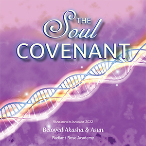 The Soul Covenant
