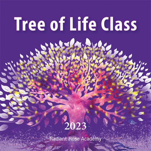 2023 Tree of Life Class